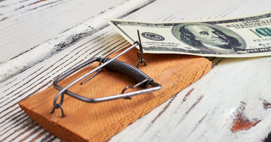 Mouse trap with money