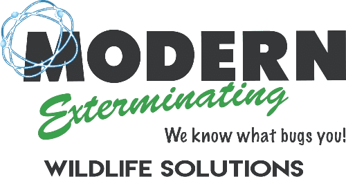 Modern Exterminating Wildlife Solutions Logo Transparent