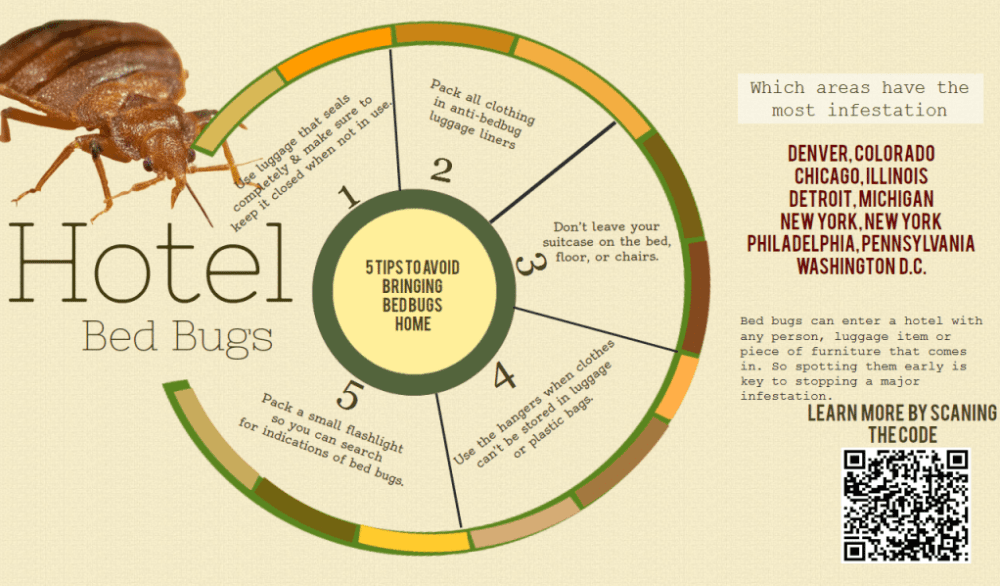 Infographic of How to Avoid Bringing Bed Bugs Homes