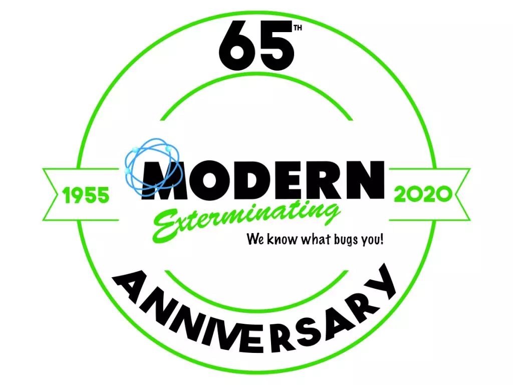 anniversary logo 