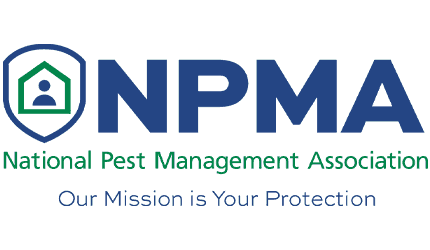 npam.2103291515550.png