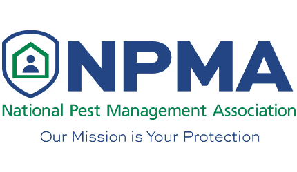 npam.2103291515550