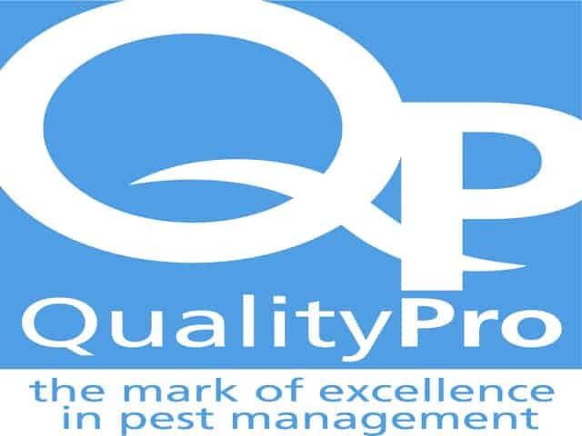 qualitypro-pms646.2201200914254.jpg