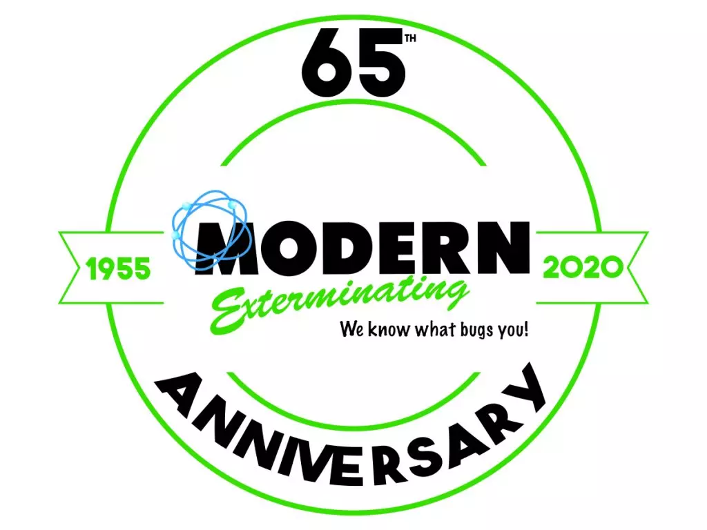 anniversary logo